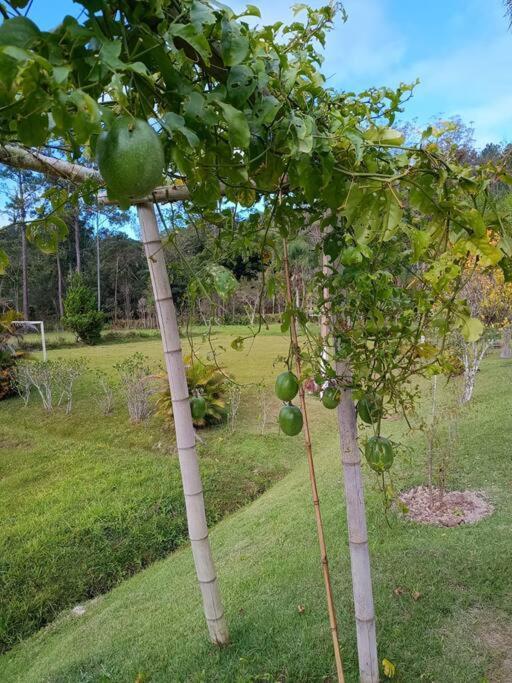 Sitio Paraiso Verde Juquitiba Luaran gambar