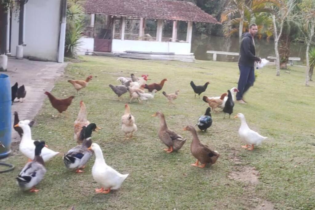 Sitio Paraiso Verde Juquitiba Luaran gambar